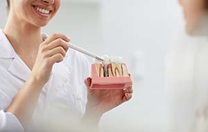 dentist displaying a model of how dental implants work