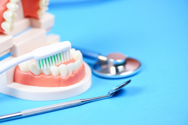 model of dentures next to a toothbrush